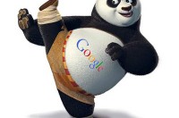 google-panda